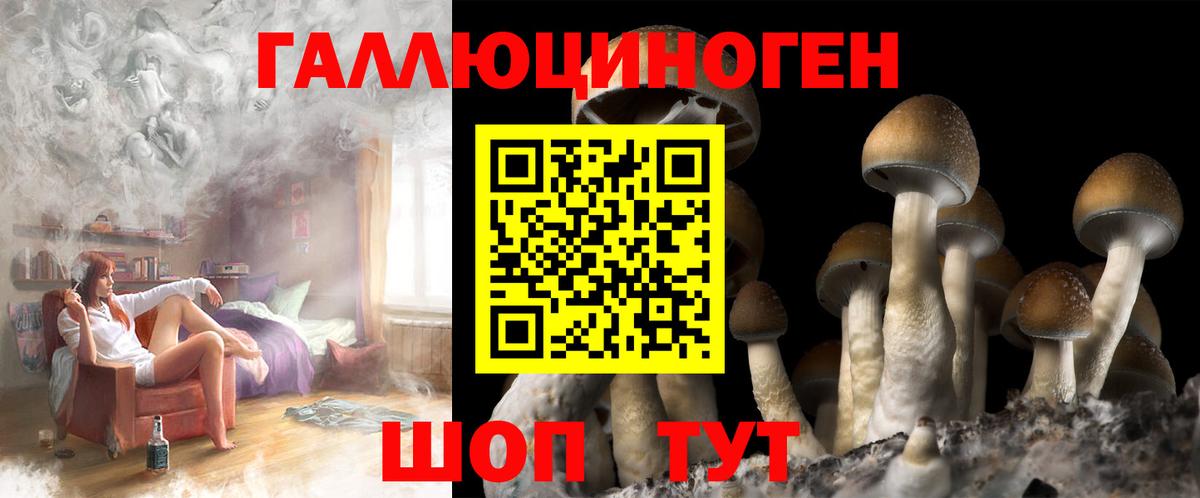 наркотики  Вход с VPN  Сочи  Псилоцибиновые грибы ЛСД 
